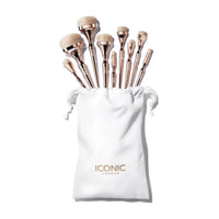 Iconic HD Blend 9-Piece Brush Set display..