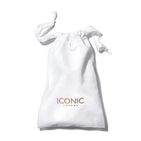 Iconic Professional HD Brush Set