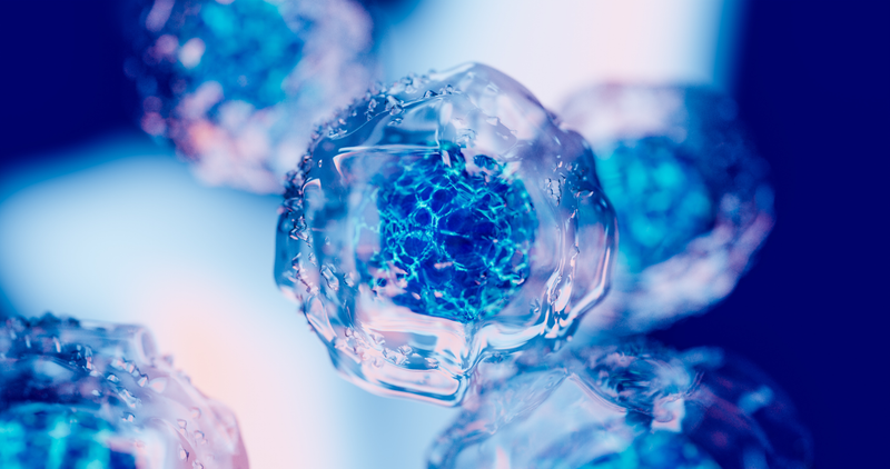 The Cellular Renewal Collection