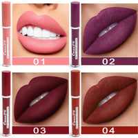 CmaaDu 10 Piece Luxury Matte Lipstick Set