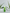 Identity Sheer Aloe Vera Lipstick – color-changing moisturizing lip color