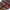 Silky texture of 92-Color Palette on brush.