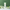 Madagascar Centella Ampoule Line