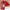 Handaiyan SilkSheen Lip Collection – Luxe Lightweight Lipstick