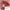 Handaiyan SilkSheen Lip Collection – Luxe Lightweight Lipstick