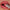 AquaReflect Lip Gloss